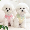 Two white fluffy dogs wearing pastel colored breathable cotton shirts sitting on a white couch