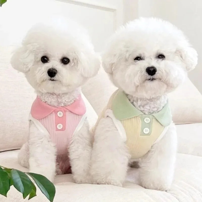 Two white fluffy dogs wearing pastel colored breathable cotton shirts sitting on a white couch