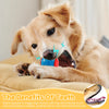 A golden retriever puppy is shown chewing a blue and red squeaker toy for dog teeth cleaning.