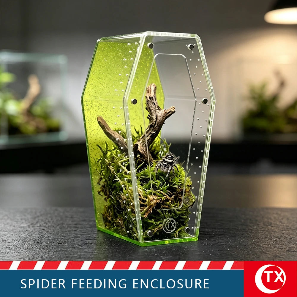 A clear acrylic spider feeding enclosure with a magnetic door filled with moss and natural debris.