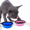 A gray puppy is licking a pink silicone pet feeder bowl on a clear glass surface.