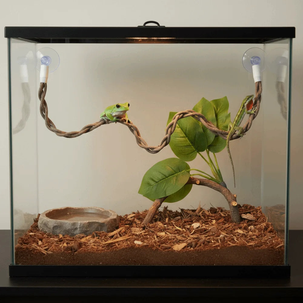 A small green lizard is perched on a natural wood hammock within a clear glass terrarium.