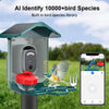 Caméra d'oiseau alimentée par énergie solaire avec bol rouge, montée sur un poteau, à côté d'un smartphone affichant en direc