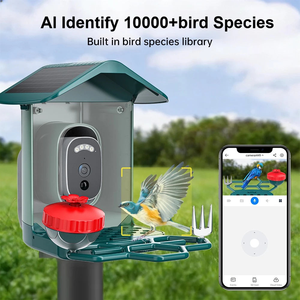 Caméra d'oiseau alimentée par énergie solaire avec bol rouge, montée sur un poteau, à côté d'un smartphone affichant en direc