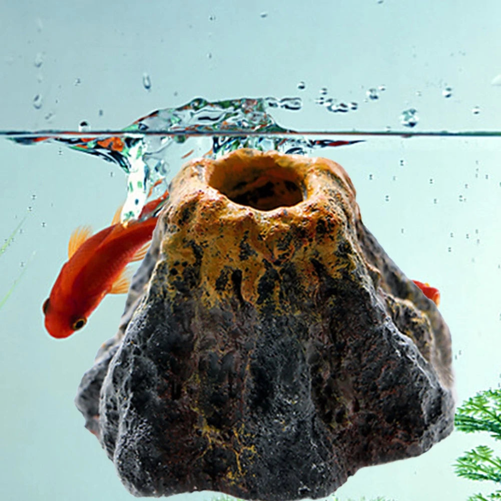 An orange fish swims near a dark, porous volcanic rock decoration in an aquarium.