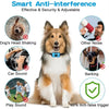 A brown and white dog wearing a collar, demonstrating smart anti-interference features for training and deterrence.
