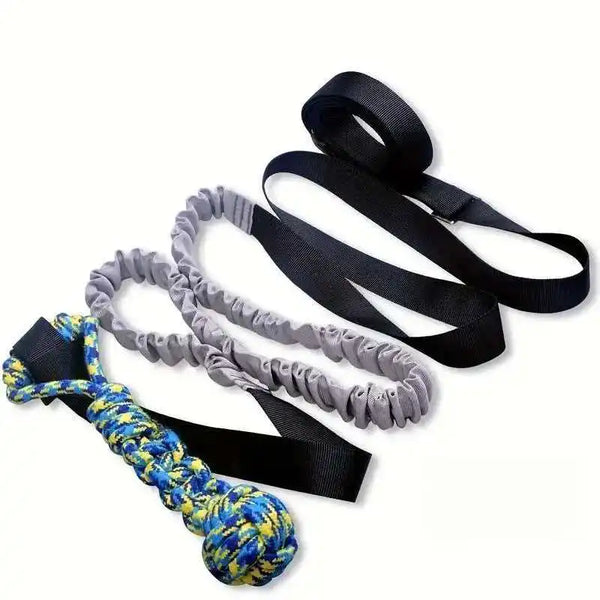 Black and gray bungee tug toy for dogs featuring elastic rope with adjustable handles