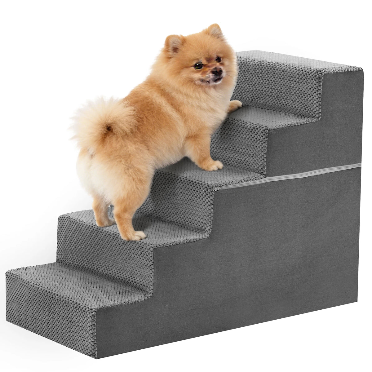 A fluffy orange dog is standing on a gray adjustable pet climbing stairs ramp.