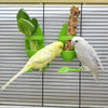 Two white and yellow birds feeding from green ceramic stands with natural food