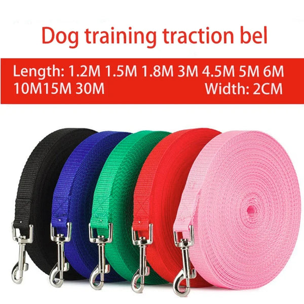A variety of red, green, blue, and black nylon dog training traction belts with metal clasps are displayed.