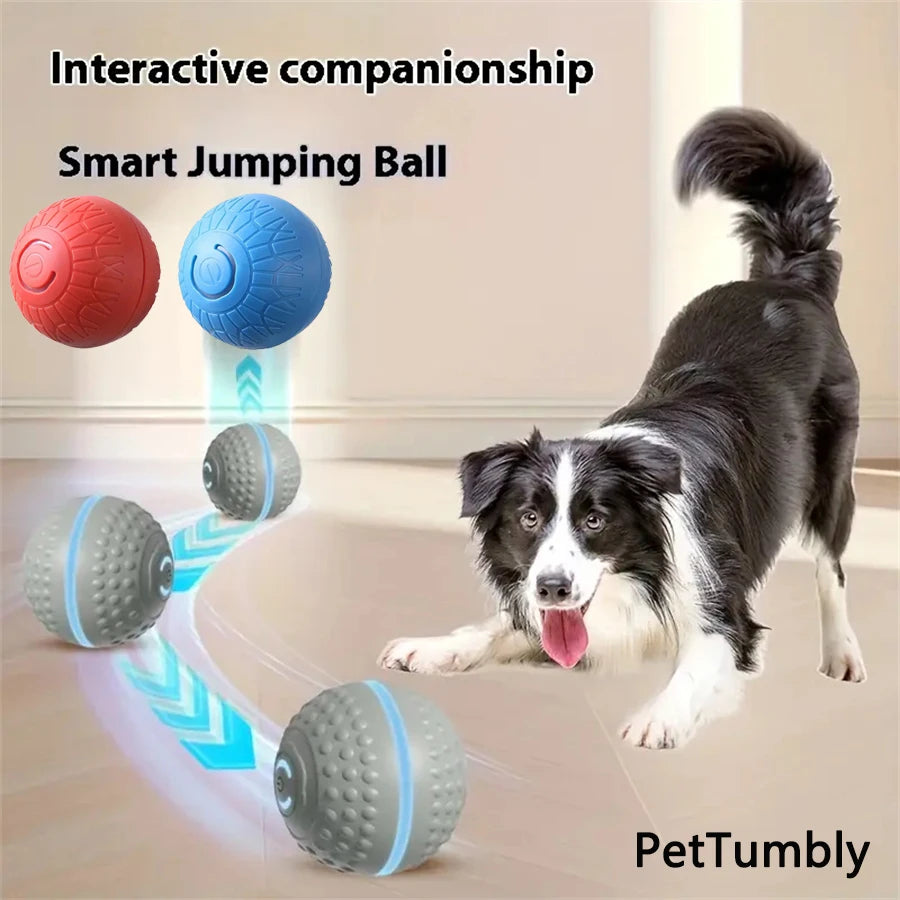 Ein schwarz-weißer Hund interagiert mit einer intelligenten Springball, der interaktiven Kameradschaft demonstriert.