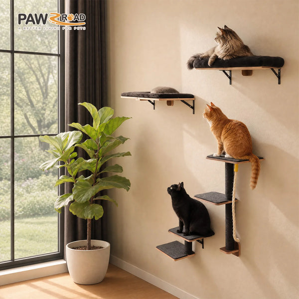 A wall-mounted cat climbing set featuring multiple platforms for cats, including a tabby and an orange cat.