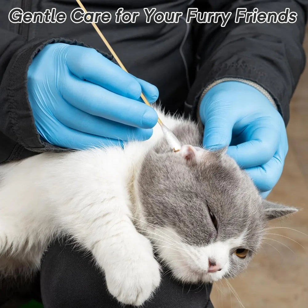 A person gently cleans a cat's ear with a long cotton swab using blue gloves.