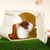 A brown and white hamster is visible inside a light-colored cartoon hideout house with an open viewing window.