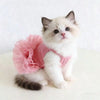 A fluffy white and gray kitten wearing a pink tutu dress.