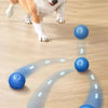 Ein orange-weißes Hund springt über eine Reihe blauer Spielbälle auf einem Holzfußboden.