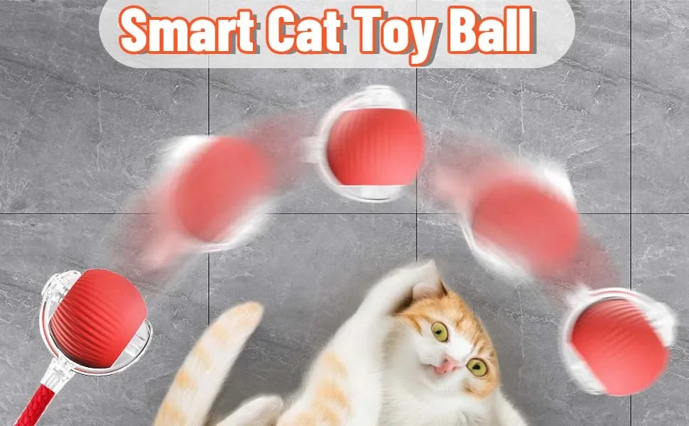 A fluffy orange cat is interacting with a smart cat toy ball that is rolling in the air.