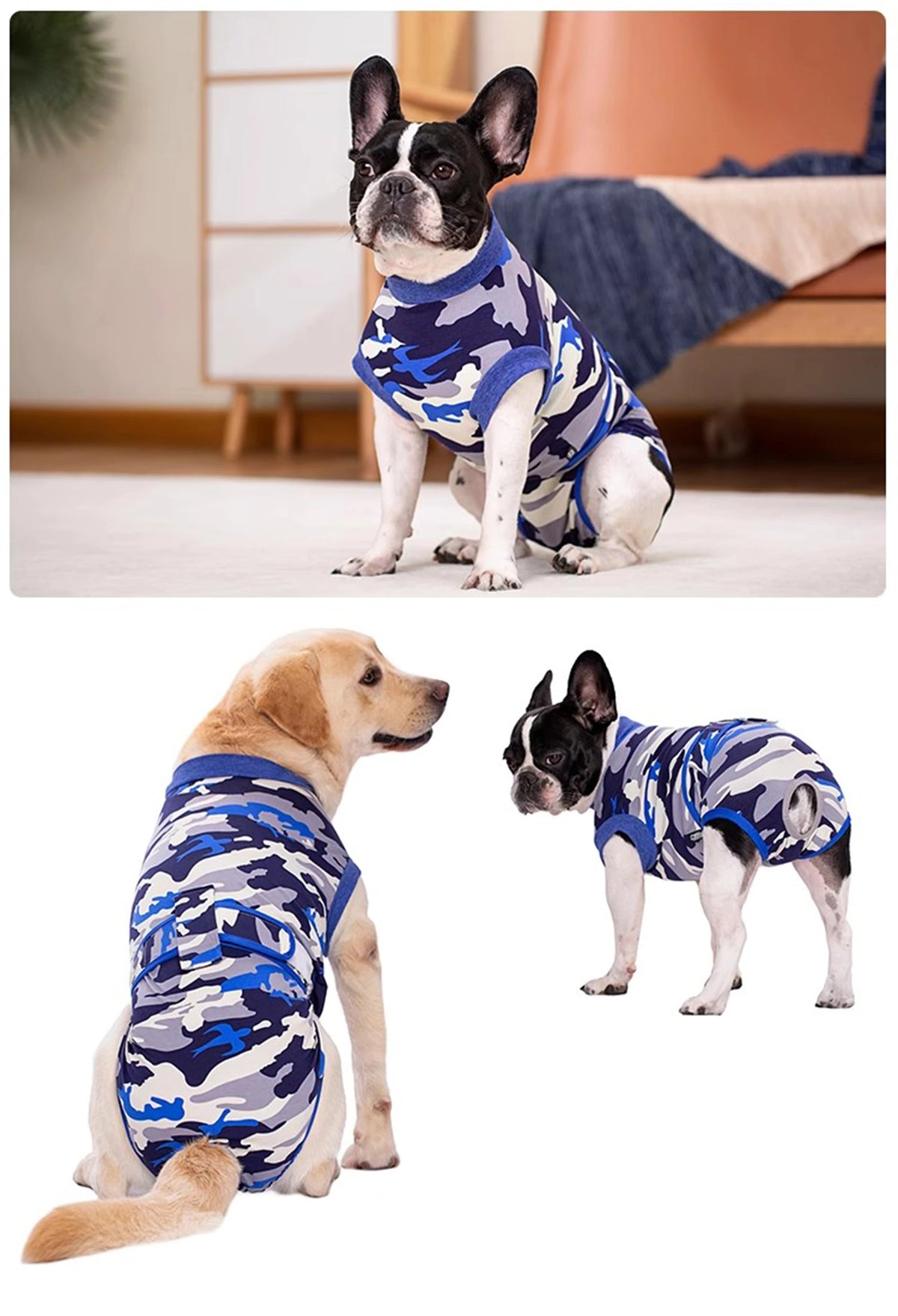 Un chien en noir et blanc portant une combinaison de récupération de l'animal de camouflage bleu et gris.