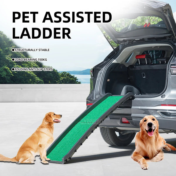 A dog is using a green folding pet ladder ramp inside the trunk of a car.