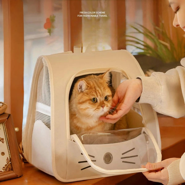 A person is holding open a beige portable cat carrier backpack with a window, showing a fluffy orange kitten inside.