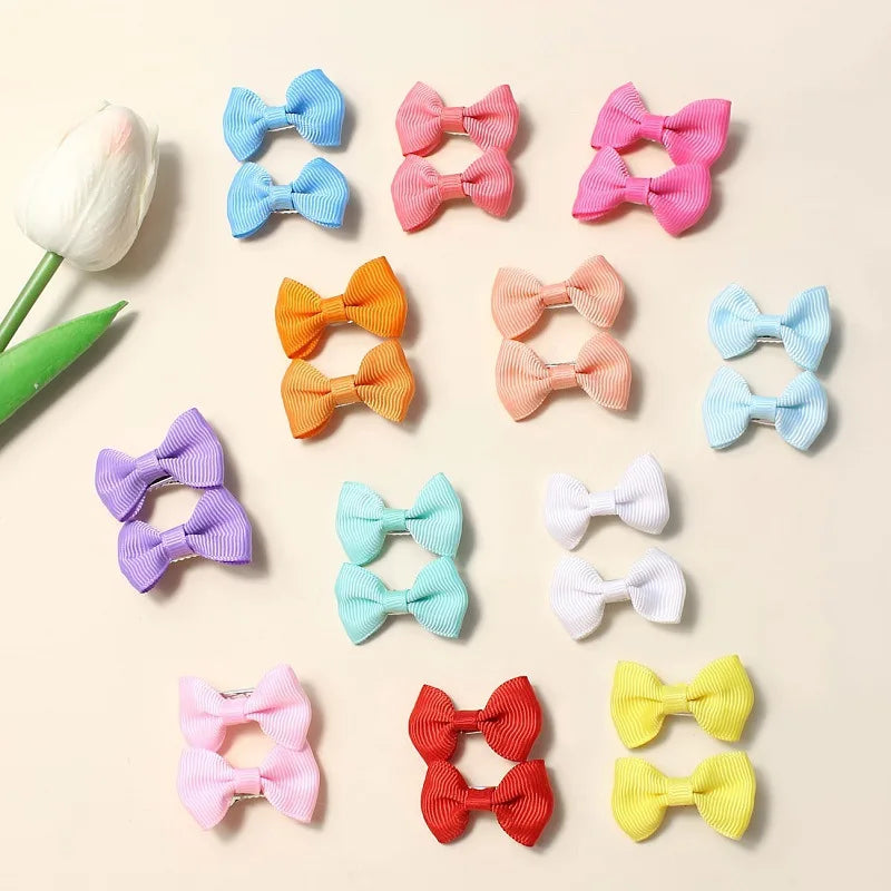 A collection of colorful pet hair clips in various shades including blue, pink, orange, and yellow.