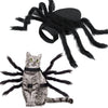 A tabby cat wearing a black spider costume with long black legs and body.
