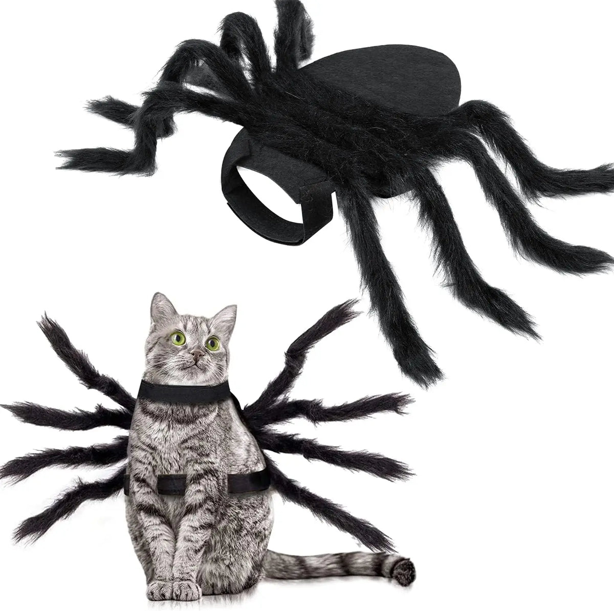 A tabby cat wearing a black spider costume with long black legs and body.