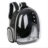 Mochila transparente para mascotas para perros y gatos con detalles en blanco y negro.