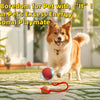 A happy dog plays with an interactive motion sensor cat ball and red string toy outdoors.