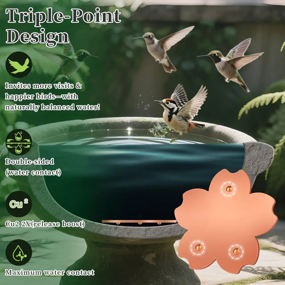 Un disque de bain d'oiseaux en cuivre dans un bol de pierre, conçu pour un support triple point et une surface maximale de co