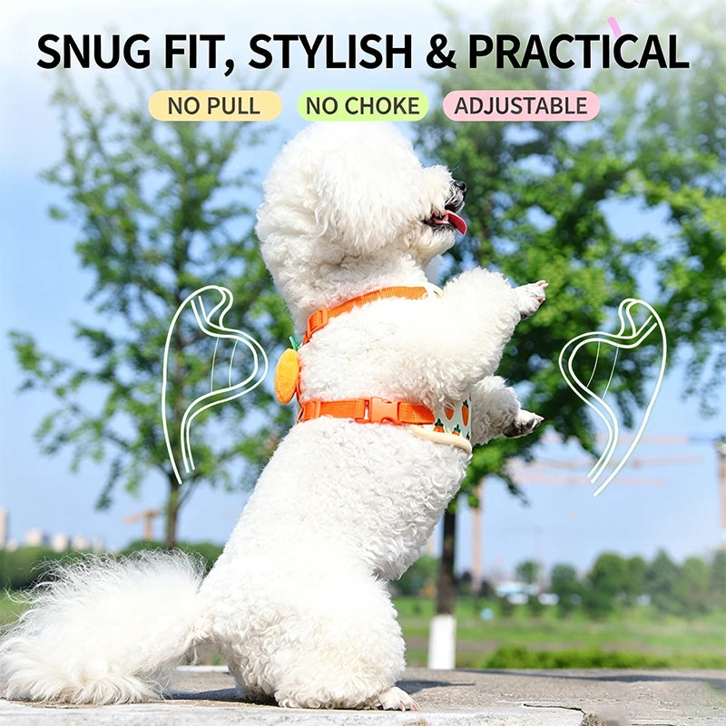 A white poodle wearing an orange pet harness and leash, demonstrating a snug fit for dogs.