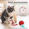 Graue und weiße Katze interagiert mit einem elektrischen Spielball, der automatische Standby-Funktionen demonstriert.