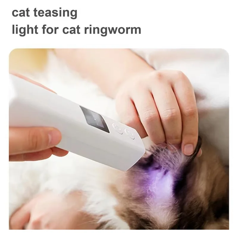 A hand holds a white light device near a dog's ear, illuminating the area with purple light for cat teasing.