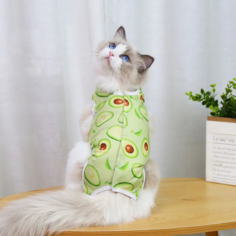 A fluffy gray cat wearing a light green recovery vest for post-surgery protection.