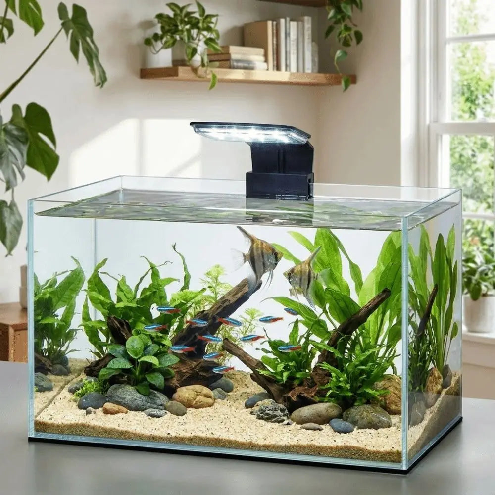 Klares Glasakvarium mit Wasserpflanzen und einer schwarzen LED-Clip-Lampe auf hellem Substrat.