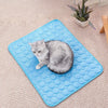 A gray kitten is lying on a blue cooling pet mat on a light beige carpet.