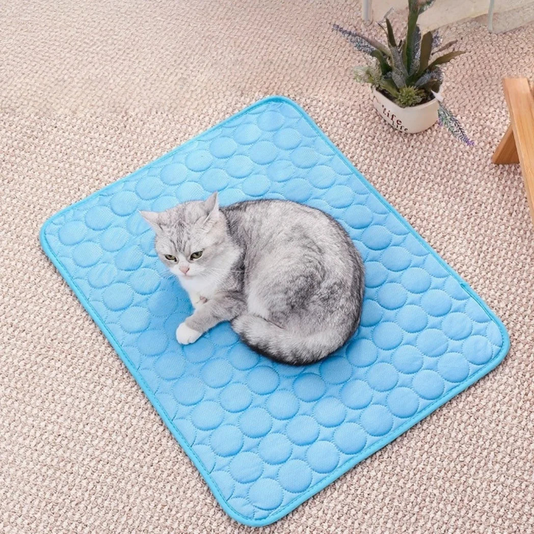 A gray kitten is lying on a blue cooling pet mat on a light beige carpet.