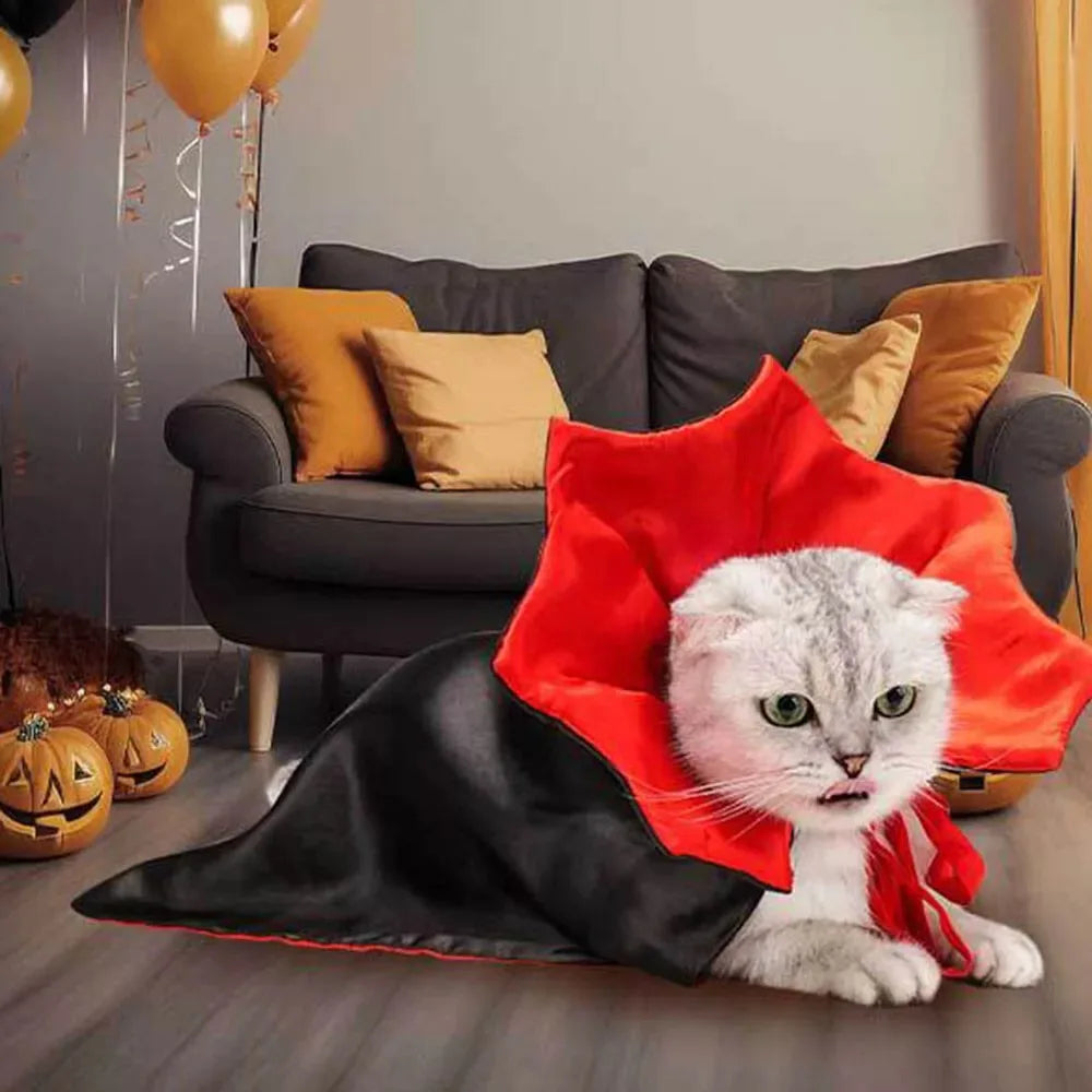A fluffy white cat wearing a red vampire cape lying on a gray sofa.