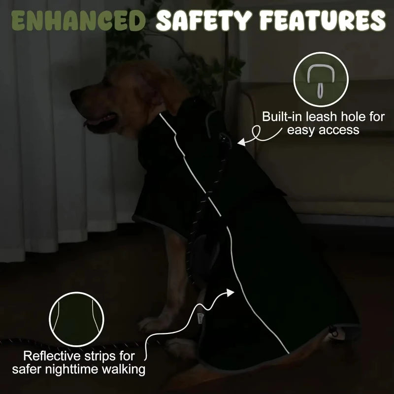 A dog wearing a black raincoat with reflective strips and a built-in leash hole.