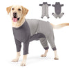A golden retriever wearing a gray comfortable cotton dog jumpsuit with matching accessories.