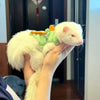 A person is holding a white pet mouse wearing a green vest harness with an orange collar.