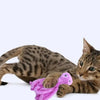 A tabby cat is lying down next to a bright pink octopus plush toy.