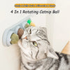A tabby cat is interacting with a 4 in 1 rotating catnip ball made of fruit, silvervine, and candy.