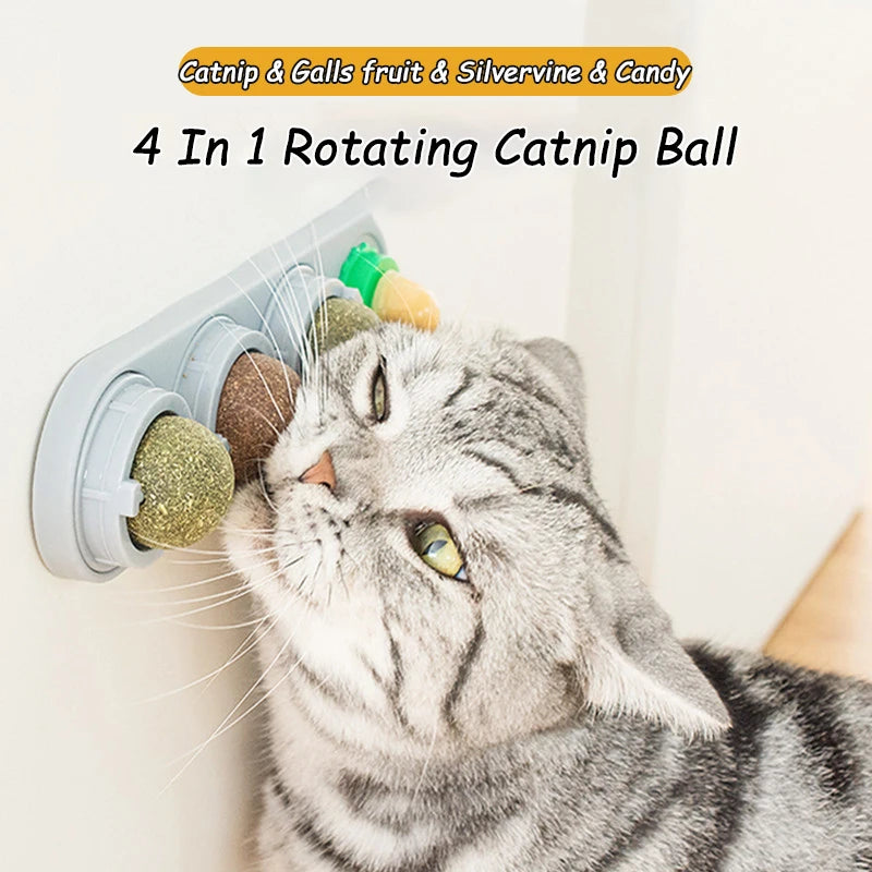 A tabby cat is interacting with a 4 in 1 rotating catnip ball made of fruit, silvervine, and candy.