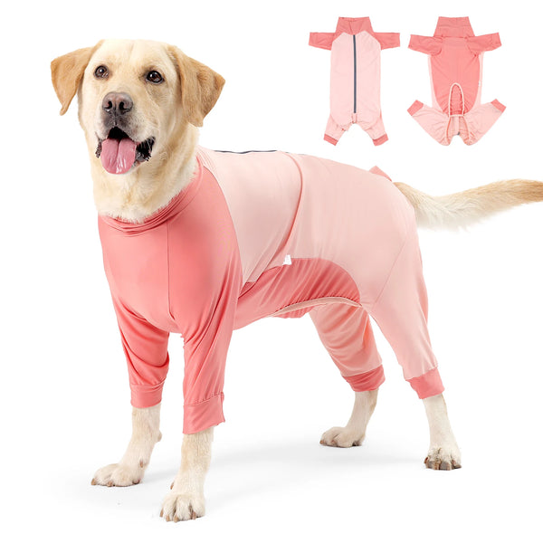 A golden retriever wearing a pink comfortable cotton dog jumpsuit and matching accessories.