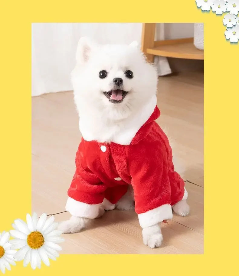 Un perro blanco y esponjoso vistiendo un mono de dibujos animados rojo, sentado en un suelo de madera.