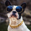 Ein weißer Hund mit Sonnenbrille und goldener Halskette blickt auf.