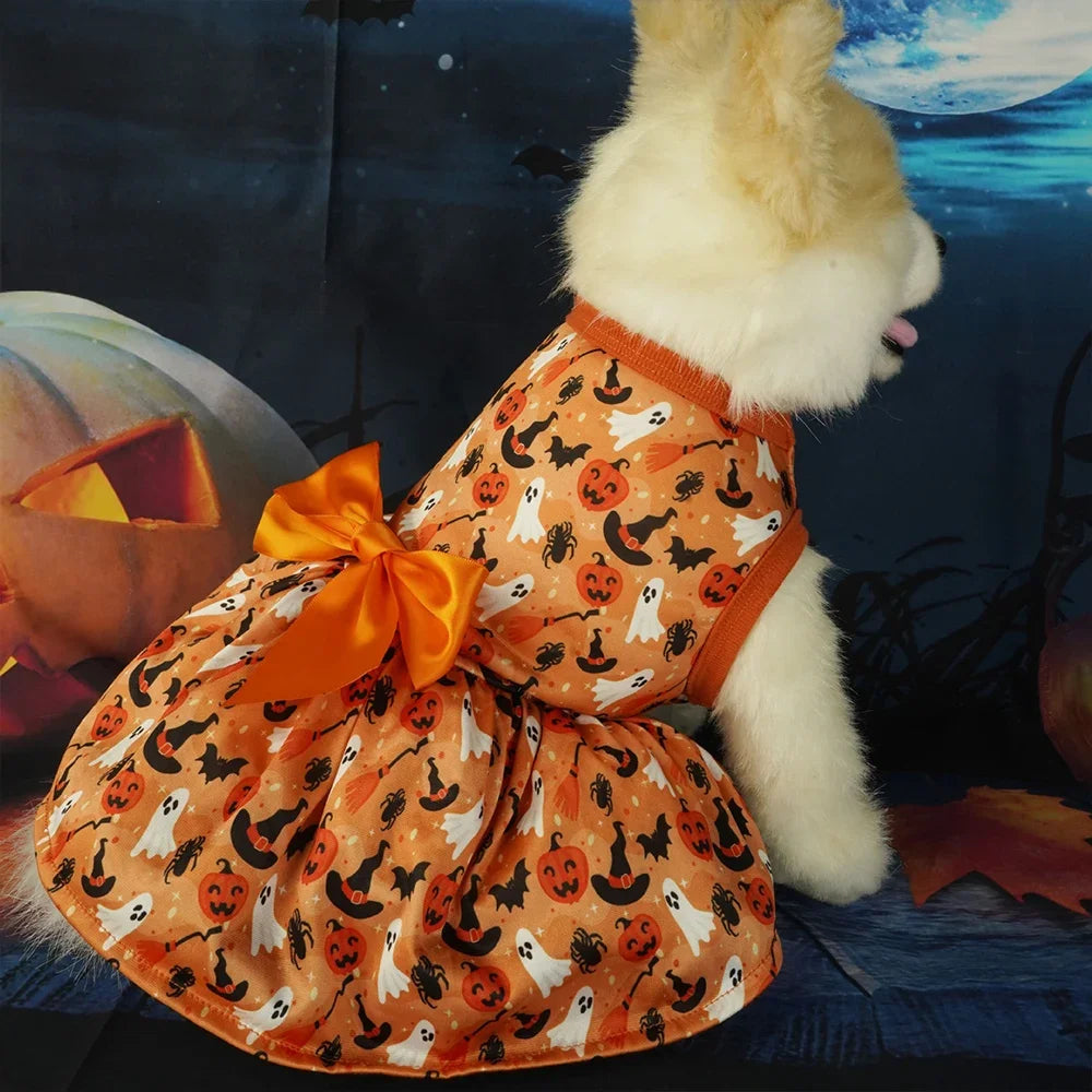 Un perro peludo vistiendo un vestido naranja con estampado de calabaza y murciélago, contra un fondo oscuro.