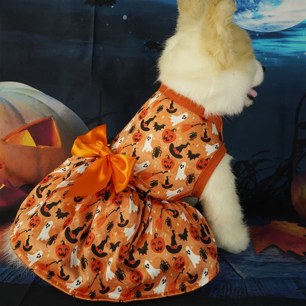 Un perro peludo vistiendo un vestido naranja con estampado de calabaza y murciélago, contra un fondo oscuro.