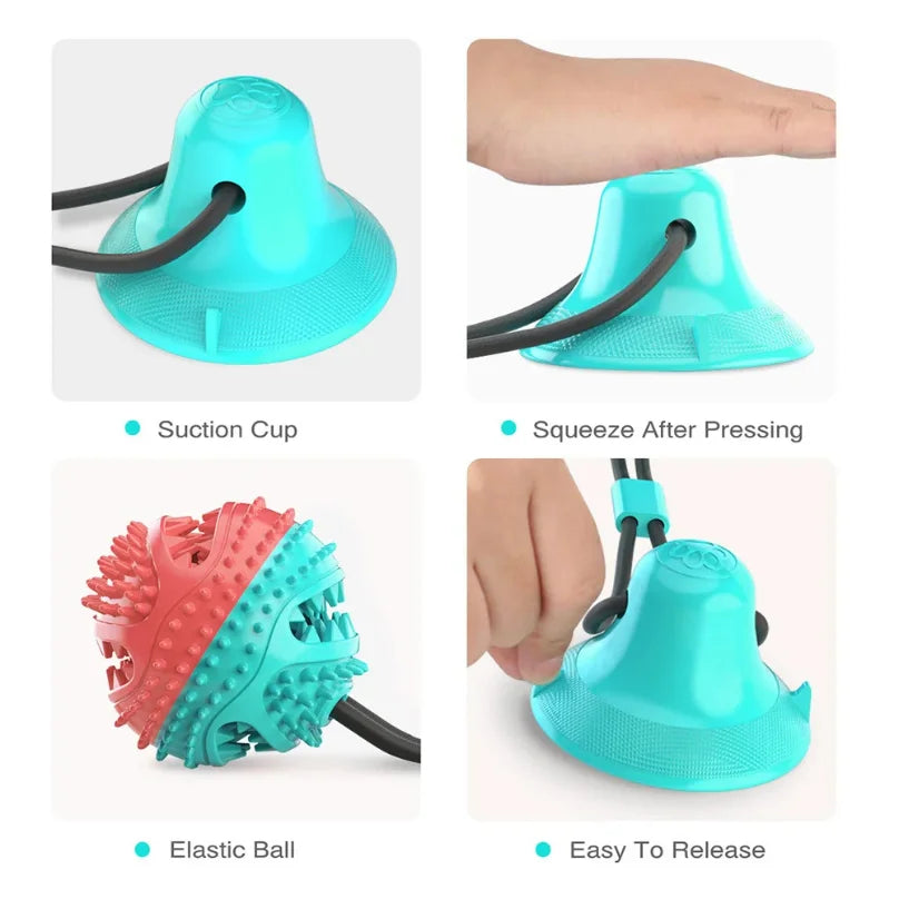 A turquoise suction cup dog ball with an elastic ball for chewing and dental care.